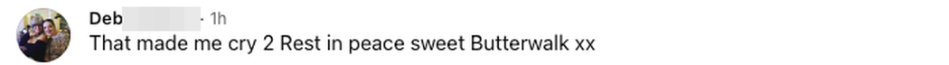 Facebook comment: That made me cry. Rest in peace sweet Butterwalk xx.