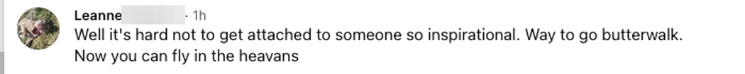 Facebook comment: It's hard not to get attached to someone so inspirational. Way to go butterwalk, now you can fly in the heavens.
