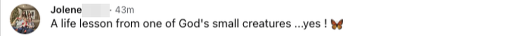 Facebook comment: A life lesson from one of God's small creatures. Yes!
